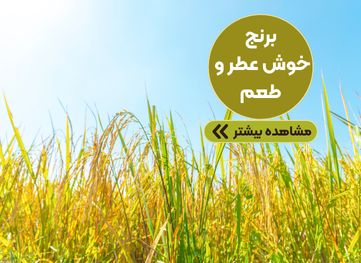 برنج گیل مزه